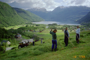 Slåtten på Rabba 1998