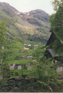 Bilde av Rabbe frå kyrkja