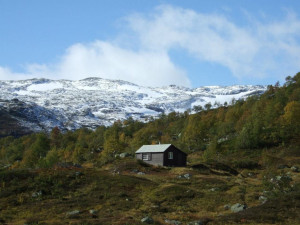 Haust i Middalen