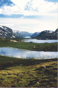 Utsikt Vivassdalen