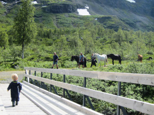 Turfølge med hest