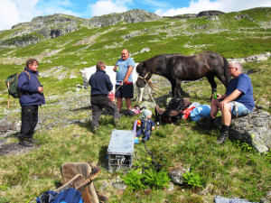 Turfølge til Vivassdalen med hest